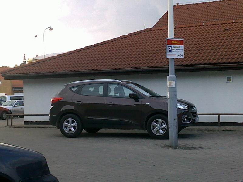 31032010117a.JPG