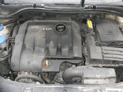 oct%C3%A1vka%204x4%205.JPG
