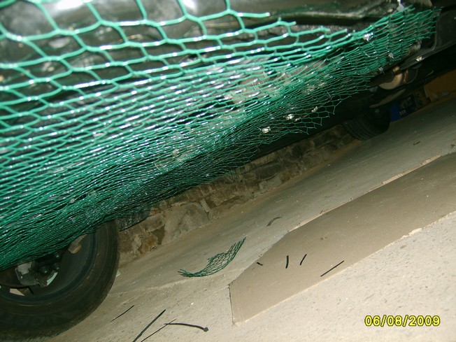 S5004950.JPG