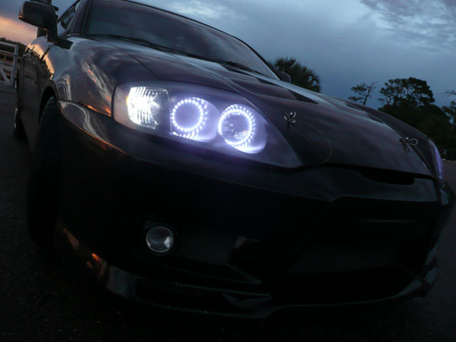 Angel Eyes.jpg
