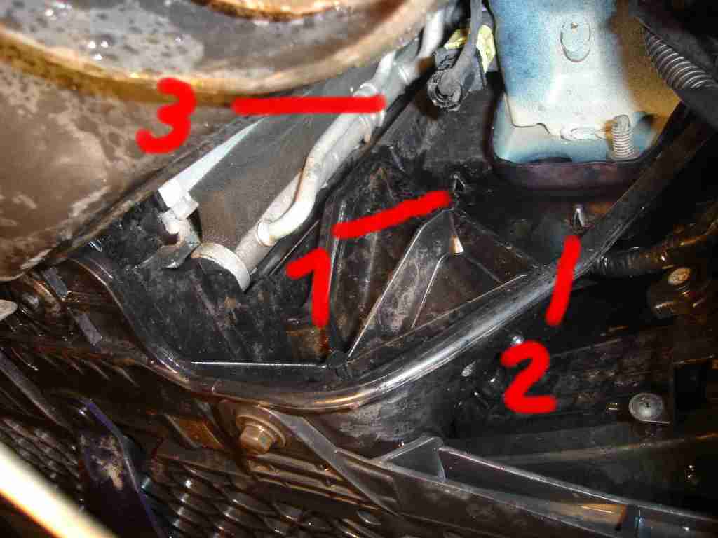 DSC04075 pro certa 03.jpg