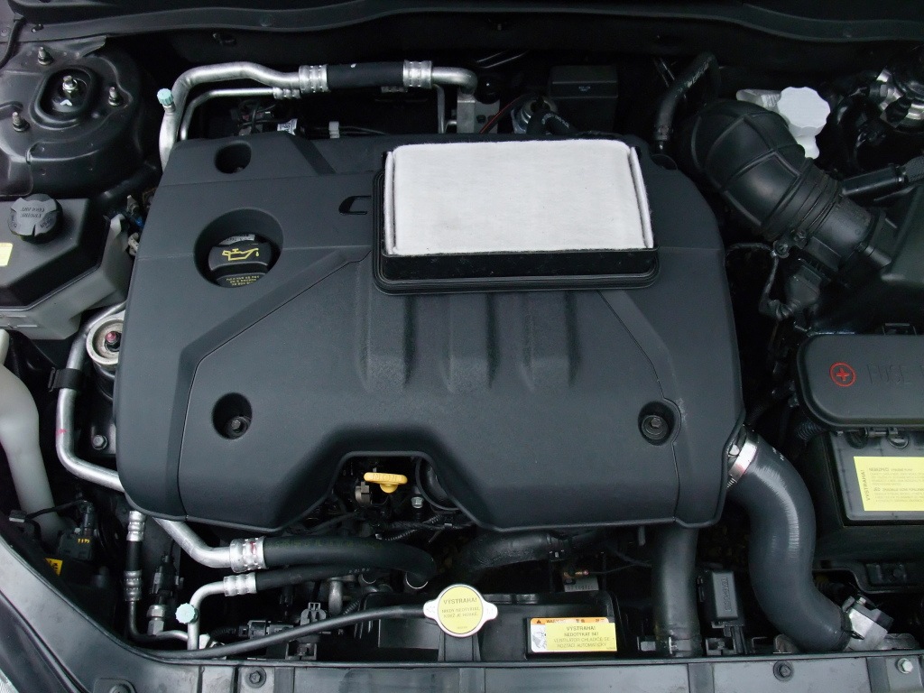 DSCF3124.JPG