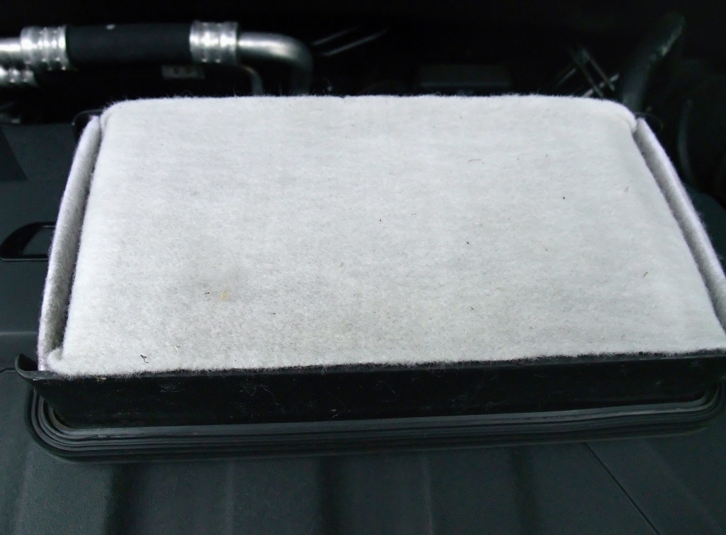 DSCF3123.JPG