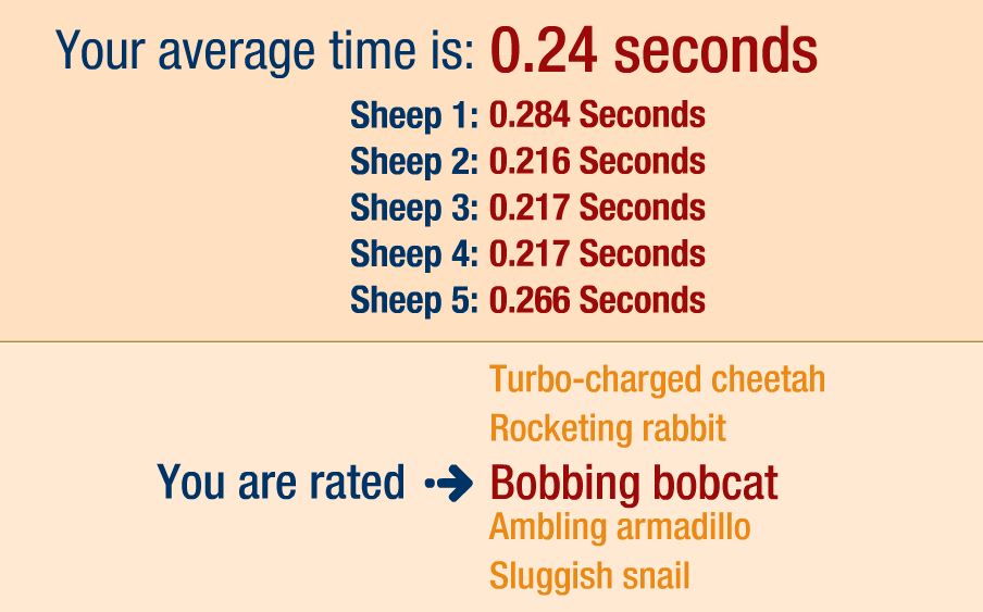 bbb.JPG