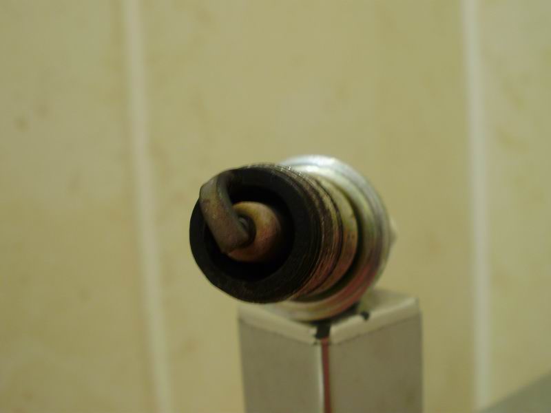 P5200109b.JPG