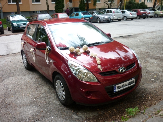 P1020176.JPG