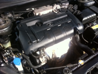 Motor