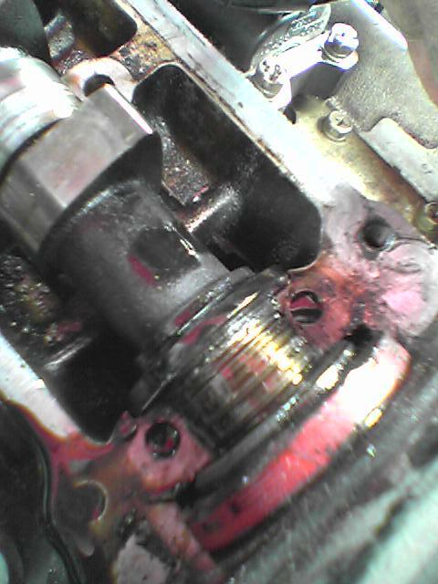 Obr0750.jpg