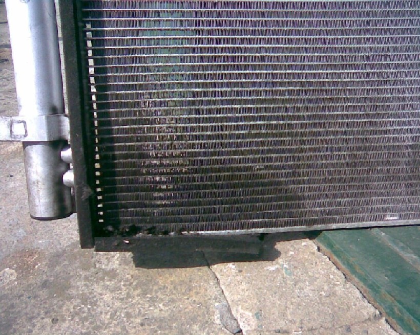 Zezadu Dole zbytek molitanu1.jpg