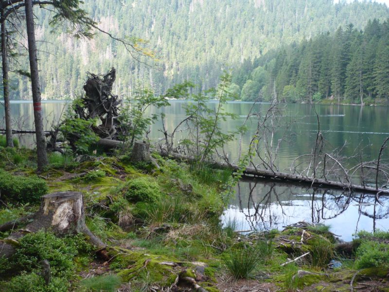 P1100664.JPG