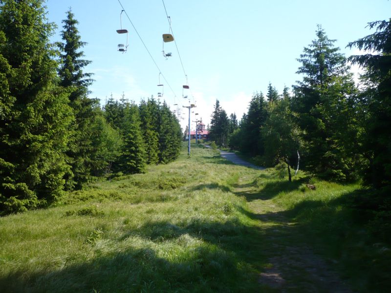 P1100611.JPG