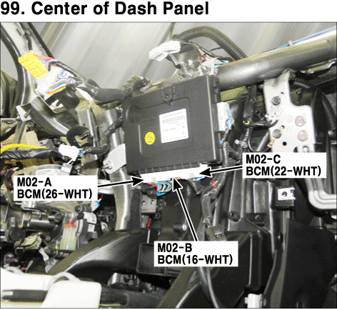 BCM.gif