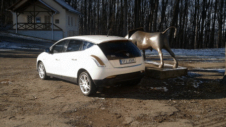 PHOTO_1357989131575.gif