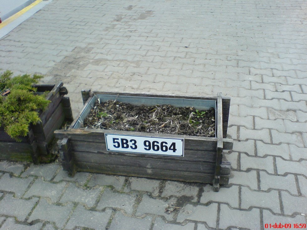 DSC00106.JPG