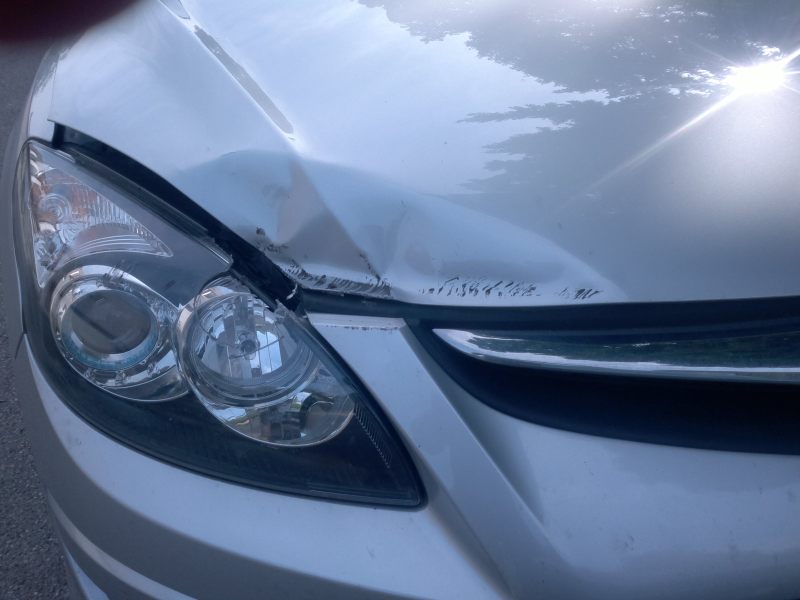 stribrnak bouchlej.jpg