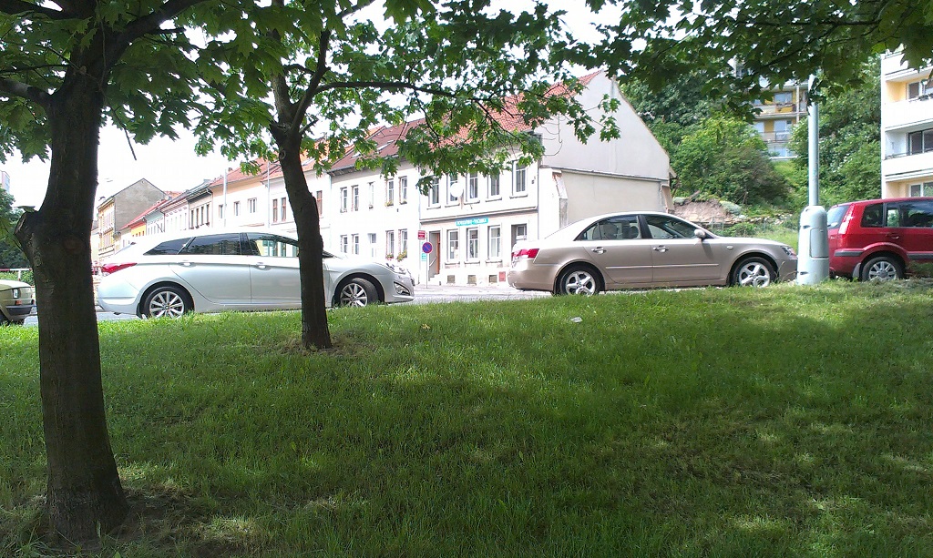 IMAG0314a.jpg