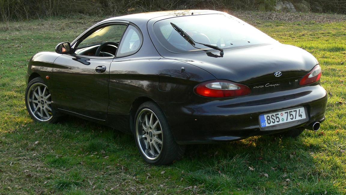 P1000821.jpg