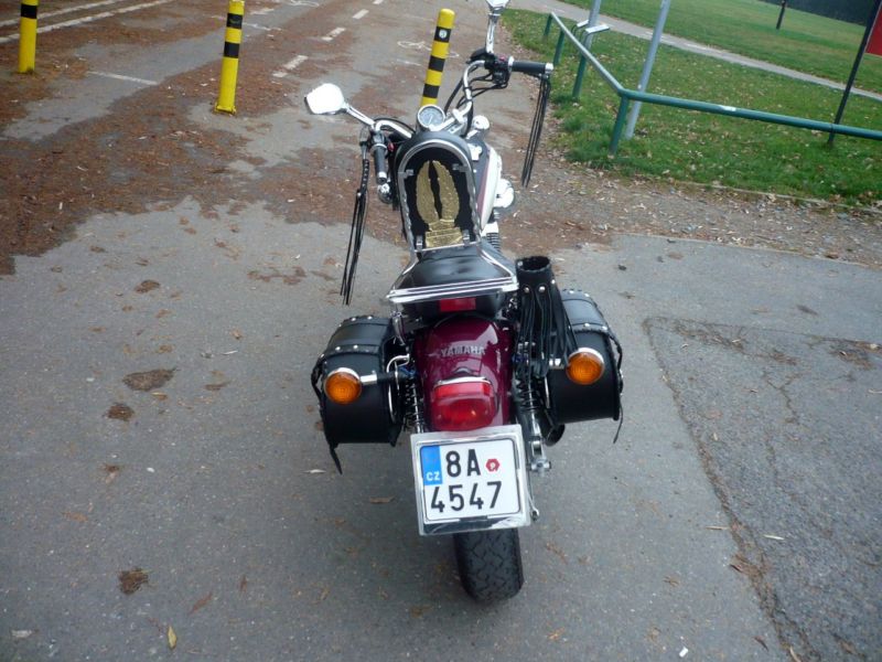 P1130113.JPG