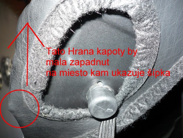 P1070754.JPG