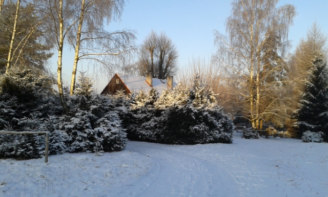 20140126_084516.jpg