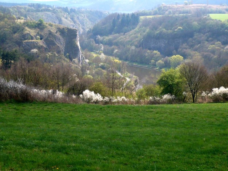P1130359.JPG