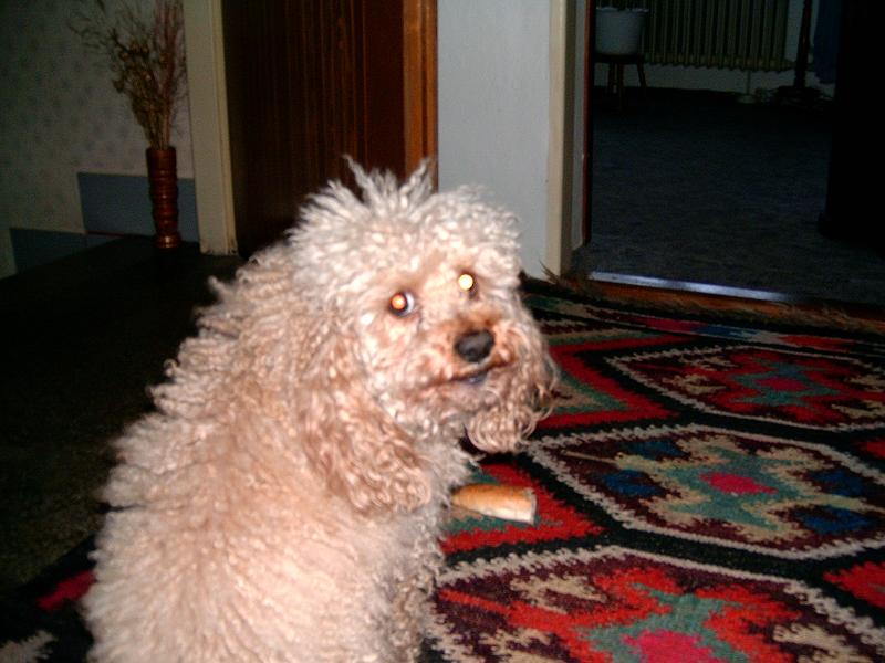 HPIM3708.jpg