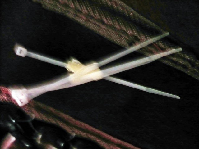 P1040430.JPG