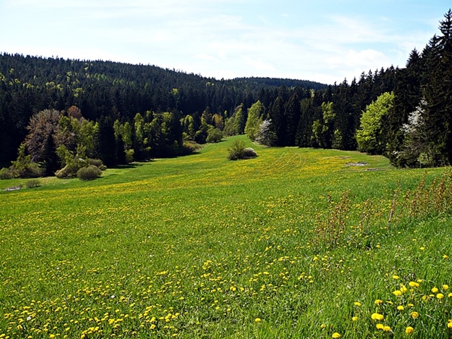 P1050041.JPG