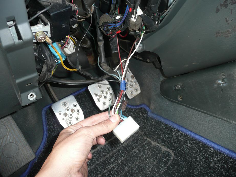 P1000973dd.JPG