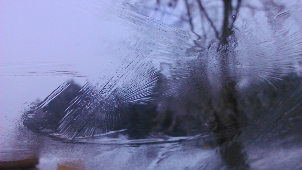 DSC_0538.JPG