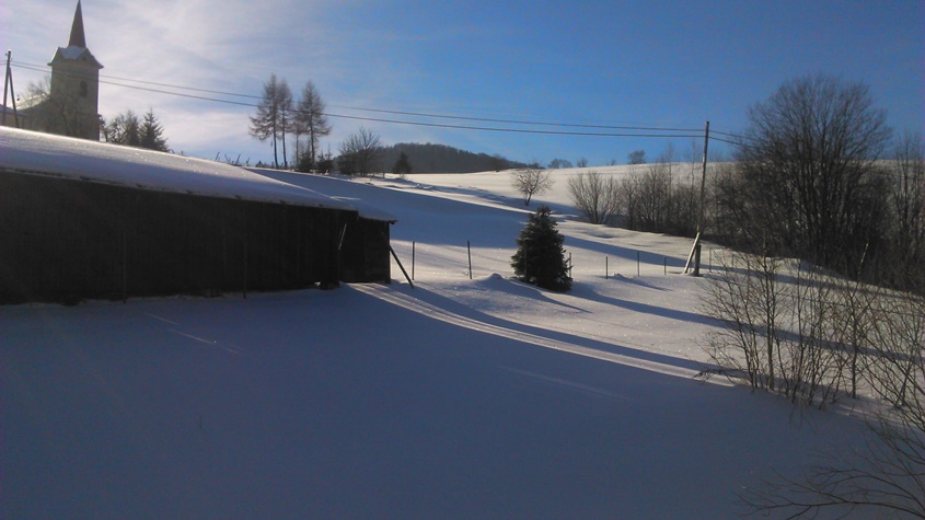 DSC_0869.JPG