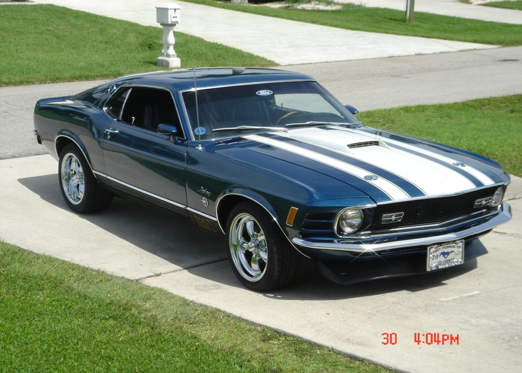 Mustang.jpg