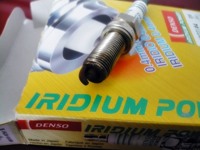 P1060681.JPG