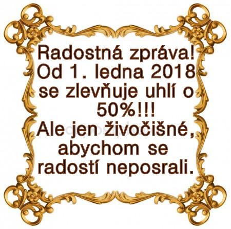 Ozd. rámeček III.jpg