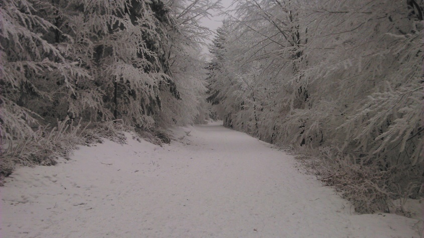 DSC_1098.JPG