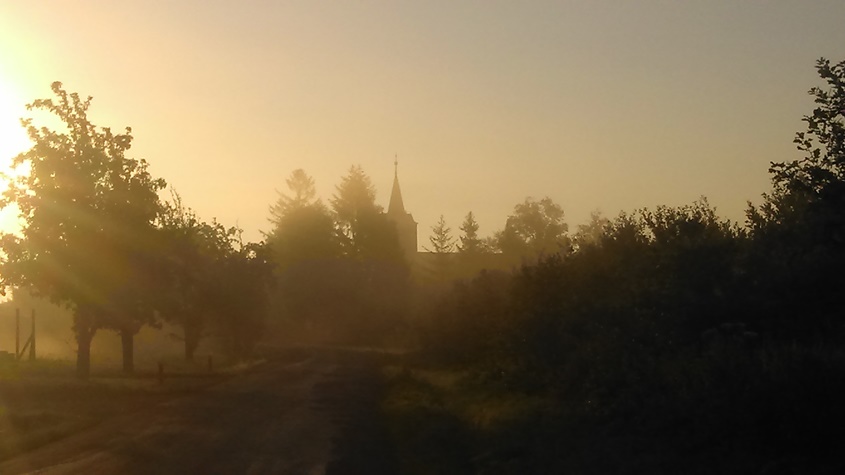DSC_1169.JPG