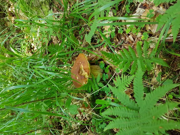 20180715_133505.jpg