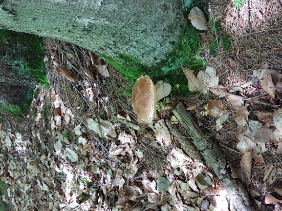 20180715_135004.jpg