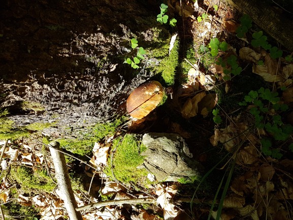 20180715_144436.jpg