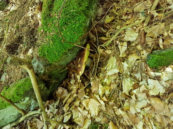 20180715_151151.jpg