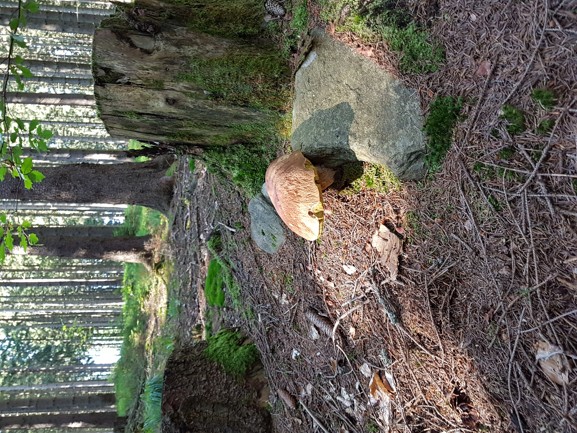 20180715_165428.jpg