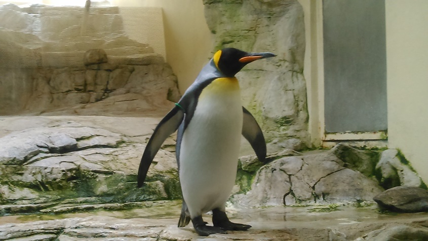 DSC_1173.JPG