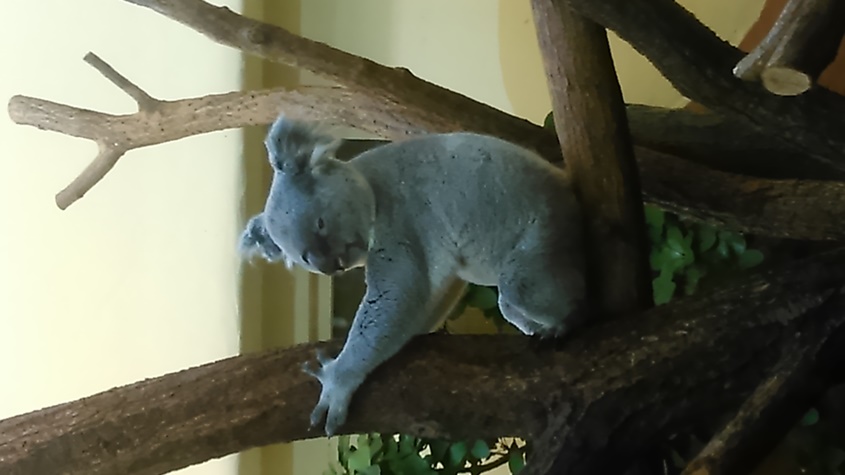 DSC_1177.JPG
