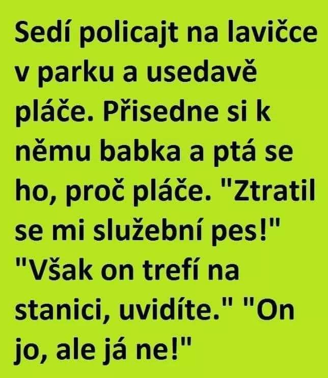 policajt.jpg