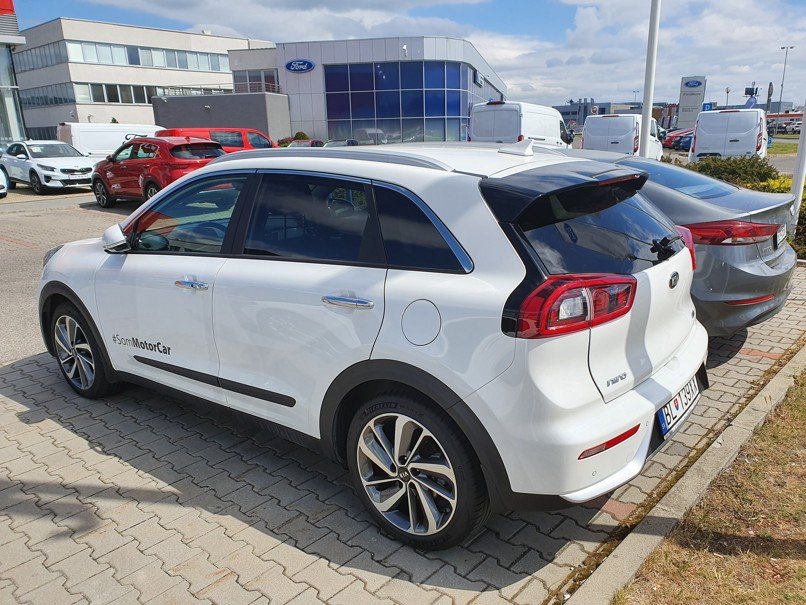 Niro II..jpg