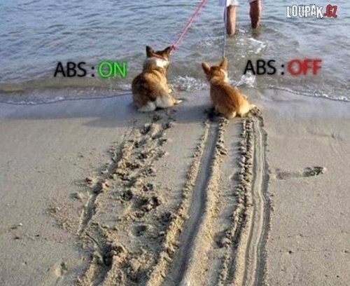 ABS.jpg