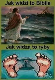 jak_to_vidi_bible-jak_to_vidi_ryby.jpg