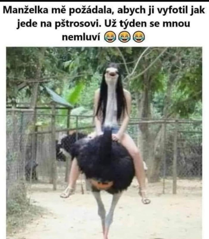 Žena na pštrosovi.jpg