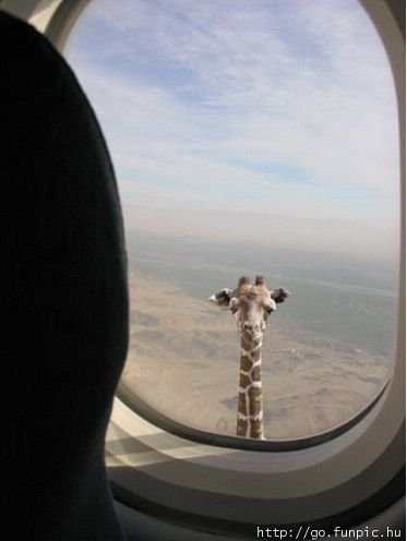 Letadlo-nad-Afrikou.jpg
