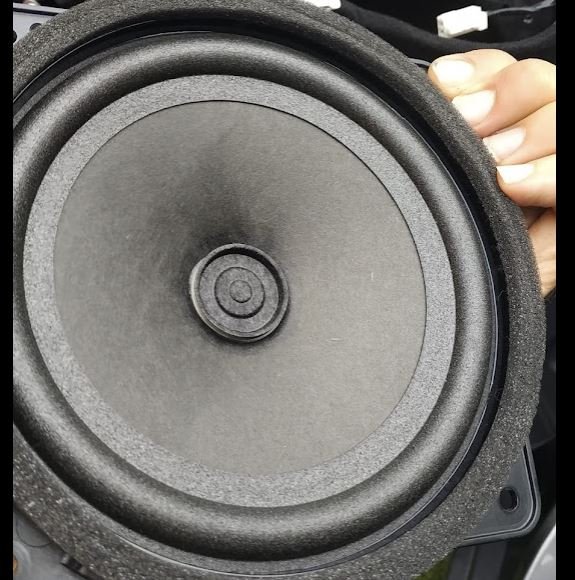 basak v prednych dverach.JPG